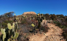 La photo du jour : comme un petit air d'Ouest américain dans l'Agriate