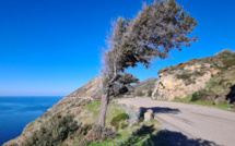 Météo corse : déficit des précipitations et hausses des températures en février 2022