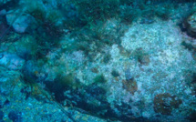 Une bombe allemande de la Seconde Guerre mondiale déminée au large d’Ajaccio