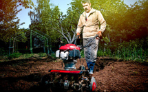 Que planter dans son jardin courant mars ?