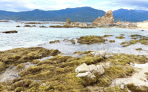 La météo corse du jeudi 24 mars 2022