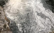 Tavignanu : une pollution à l’origine mystérieuse blanchit la rivière