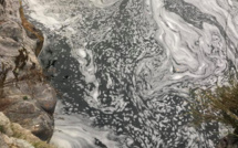 Tavignanu : "aucune source de pollution n'a été identifiée"
