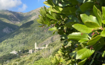 La photo du jour : au terme de la promenade, Mandriale