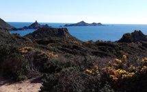 La photo du jour : aux Sanguinaires, ça sent le printemps