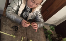 Dumenica di e Palme : en Corse la tradition des crucette perdure 