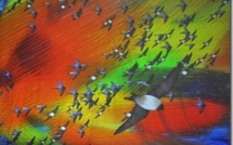 Atelier danse avec Pat'O'bine