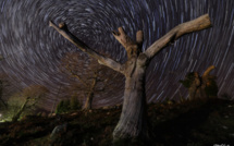 L'alignement de Jupiter, Saturne, Mars et Vénus visible à l'oeil nu ce week-end