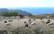 "Parking de Sant'Antoninu" : Le ministère de l'Intérieur fait appel du jugement du TA !