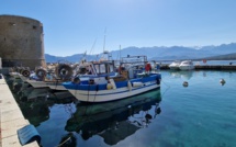 La photo du jour : le port de Calvi et le Monte Grossu
