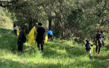 Bastia : le beau projet de la "Forêt Merveilleuse" de Paese Novu