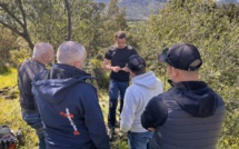 Montegrossu : une journée pour apprendre à greffer les oliviers