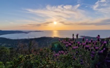 La photo du jour : la baie de Calvi vue depuis Occi