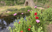 La météo du mercredi 27 avril 2022 en Corse