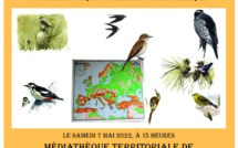 Folelli : une conférence sur les oiseaux de Corse