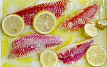 A table : rougets marinés au miel de printemps