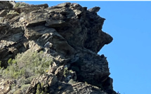La photo du jour : visage figé dans la roche