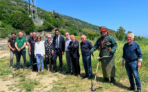 Prévention des feux de forêt en Haute-Corse : la préfecture rappelle l’importance du débroussaillement