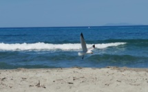 La météo du jeudi 26 mai 2022 en Corse