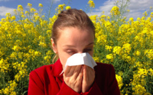 Allergies aux pollens : la Corse en alerte rouge