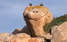 La photo du jour : le bestiaire de la randonnée entre La Tonnara et Capu di Fenu