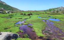 La photo du jour : superbe plateau du Coscione