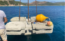 Accueil des grands yachts en Corse : 3 associations de protection de l’environnement interpellent Élisabeth Borne