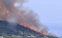 Incendie de Casaglione : une dizaine d'hectares détruits