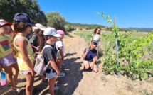 Les élèves de l'école de Cardo à la découverte des vignes du domaine de Casta