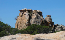  La photo du jour : sur le chemin de Campomoro à Senetosa