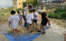 Bastia : 2ème édition des moissons à l'ancienne avec Agora et l’ortu nustrale di Cardu 