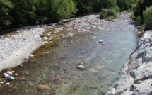Corse : six rivières récompensées pour leur qualité de l’eau