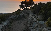 La photo du jour : sur le chemin de randonnée d'Occi