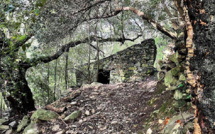 Le chemin des chapelles rouvert à Pietracorbara grâce à trois associations