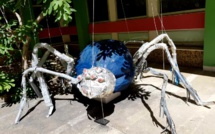 Bastia : Un « Muséum d’histoire surnaturelle » au lycée de Montesoro