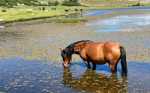 La météo du vendredi 1er juillet 2022 en Corse