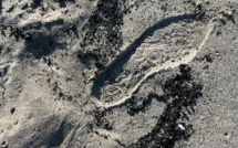 Des résidus d’hydrocarbure sur les plages de Furiani