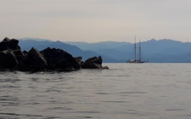 La photo du jour : dans le golfe d'Ajaccio