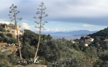 La météo du mercredi 13 juillet 2022 en Corse