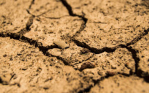 Sécheresse : la Haute-Corse en état d'alerte renforcée