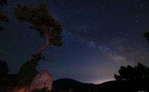 La photo du jour : vers l'Ospedale, "l'arbre et les étoiles"