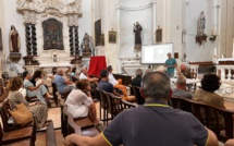 Oléiculture : l'ogliastru, ce potentiel à exploiter