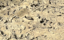 La Corse-du-Sud en "alerte sécheresse renforcée"