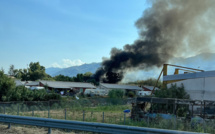 VIDEO - Mise à feu à Agliani : 5 000 m2 de végétation détruits