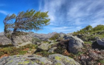 La météo du vendredi 22 juillet 2022 en Corse