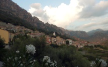 La photo du jour : "Ota, une oasis méditerranéenne entre de hautes murailles"