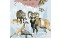 Livres : "Les animaux de Corse" de Jean-Pierre Fleury