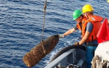 Mission de traitement de munitions historiques par les démineurs avant la période estivale