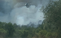Venaco : un incendie en cours a déjà détruit 25 hectares