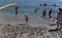 Natation en eau libre : A Bastia, très beau succès pour la 1ère de « A Rinella Race »